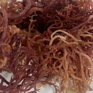 Raw Handcrafted PURPLE SEAMOSS 4oz